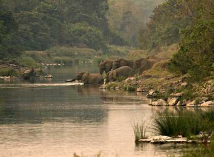 Nkhotakota Wildlife Reserve